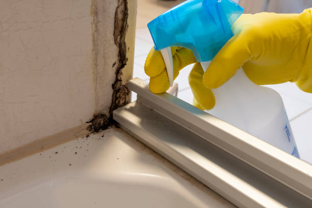 Wauregan, CT Mold Remediation Company