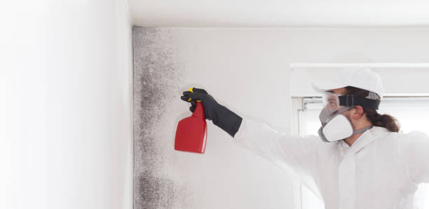 Best Mold Remediation for Specific Building Types in Wauregan, CT